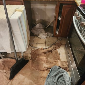 The Home Depot - Flooding at the base of our cabinets due to old dishwasher not being able to handle backpressure from running the sink water. - Nurseries & Gardening Near Me - Oceanside, California The Home Depot - Flooding at the base of our cabinets due to old dishwasher not being able to handle backpressure from running the sink water. - Nurseries & Gardening Near Me - Oceanside, California