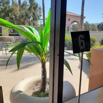 Tacotarian Henderson - The outdoor patio - Vegan Near Me - Henderson, Nevada Tacotarian Henderson - The outdoor patio - Vegan Near Me - Henderson, Nevada