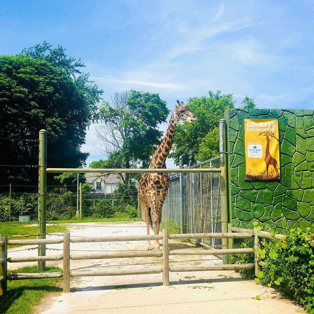 Racine Zoo - Just waiting to say Hi! - Zoos Near Me - Racine, Wisconsin