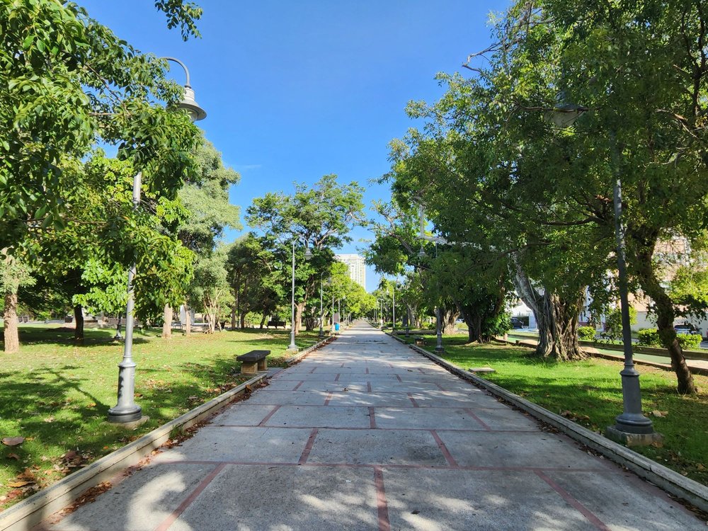 Parque Luis Muñoz Rivera Image