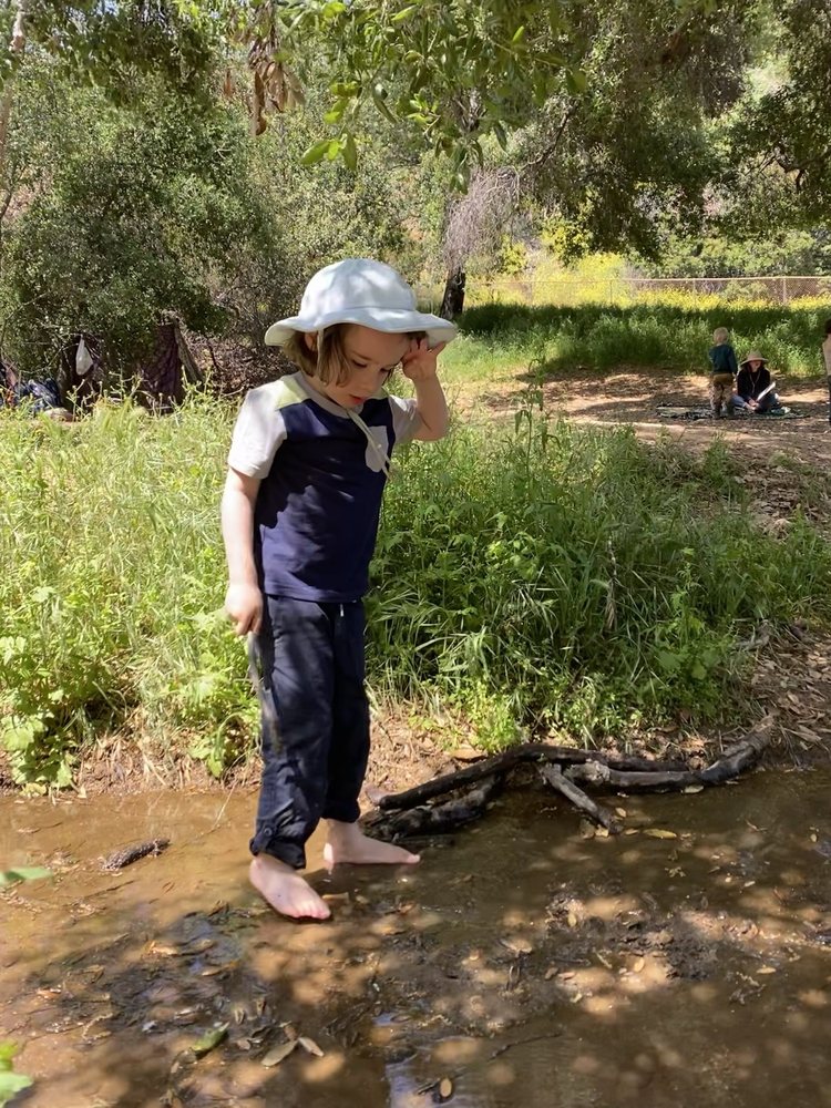 Northeast LA Forest School - childcare center in Los Angeles, CA