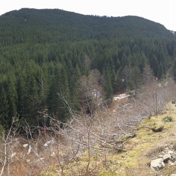 Mt Washington Trail - Hiking Near Me - North Bend, Washington