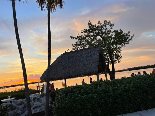 Coconut Palm Inn by null