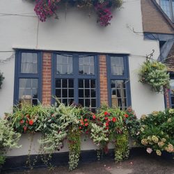 The Fox and Hounds