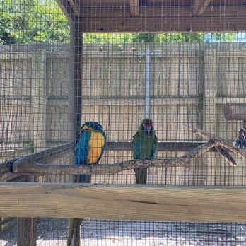 Tregembo Animal Park - Zoos Near Me - Wilmington, North Carolina Tregembo Animal Park - Zoos Near Me - Wilmington, North Carolina