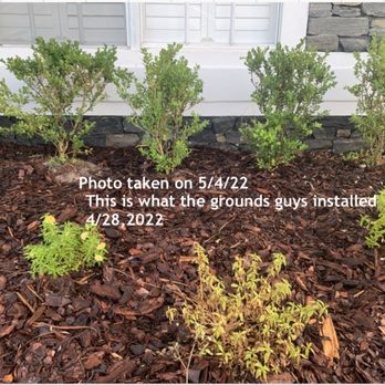 The Grounds Guys - Lawn Services Near Me The Grounds Guys - Lawn Services Near Me