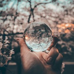 Mendon Astrology