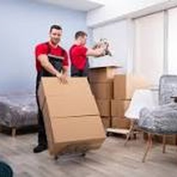 The Movers - doliies - Movers Near Me The Movers - doliies - Movers Near Me
