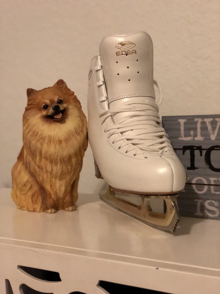 PANTHERS ICEDEN 66 Photos & 43 Reviews 3299 Sportsplex Dr, Coral