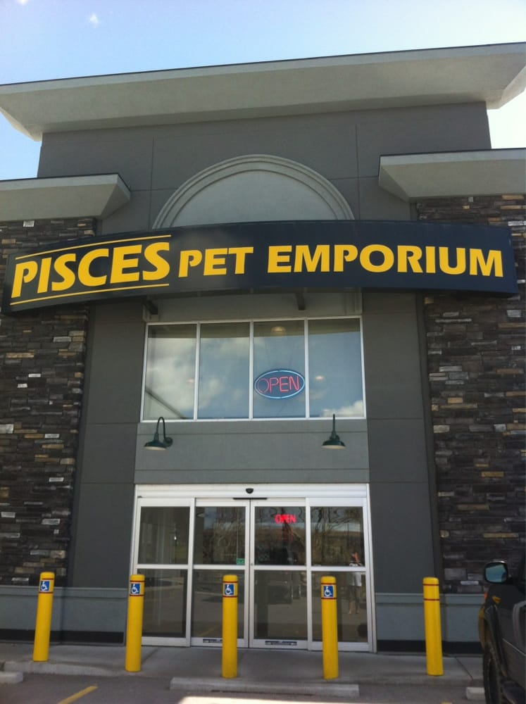 pisces pet emporium turtles