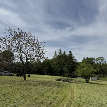 Alex's Lanwcare - Front yard after being mowed - Lawn Services Near Me