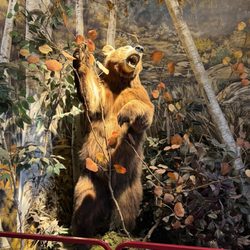 Bass Pro Shops