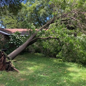 JCE Tree Service - Tree Services Near Me - River Falls, Wisconsin JCE Tree Service - Tree Services Near Me - River Falls, Wisconsin
