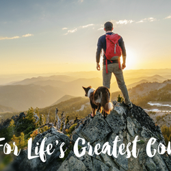 VCA Jackson Creek Animal Hospital
