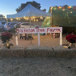 Mistletoe Tree Farm - Photo op!
