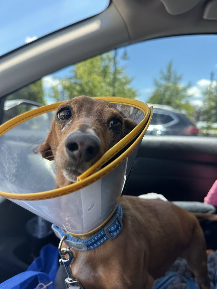 Delaware Valley Veterinary Hospital Image