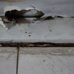 Exclusive PIA - The house continuing to be destroyed by sitting water. Demolition company hired by Exclusive PIA to take down walls making it worse.