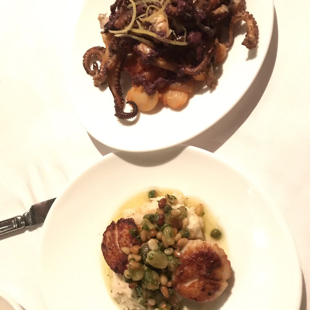 Campagnola - (T) Octopus (B) Diver Scallop - Italian Near Me - Evanston, Illinois Campagnola - (T) Octopus (B) Diver Scallop - Italian Near Me - Evanston, Illinois