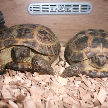 Pets are Pals - Pet Stores Near Me - Sheffield, SHF