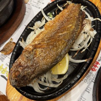 SGD Tofu House & BBQ - Yellow croaker 10/10 - Korean Near Me - Flushing, New York SGD Tofu House & BBQ - Yellow croaker 10/10 - Korean Near Me - Flushing, New York