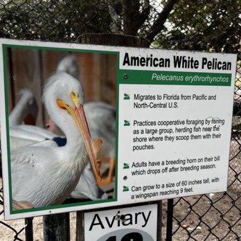 Seaside Seabird Sanctuary - Animal Shelters Near Me - Indian Shores, Florida Seaside Seabird Sanctuary - Animal Shelters Near Me - Indian Shores, Florida