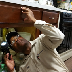 Relay Pest Control