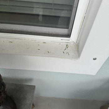 Blue Bell Landscaping - Blowing all yard debris and grass on front porch and around the window. - Landscaping Near Me - Merritt Island, Florida