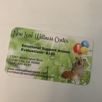 New Leaf Wellness Center - Business card - Medical Spas Near Me - Los Angeles, California New Leaf Wellness Center - Business card - Medical Spas Near Me - Los Angeles, California