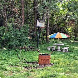 The Rooster Coup - Forest Dining?