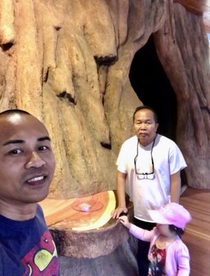 Sequoia National Park's Tunnel Log by null