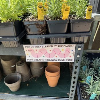 Eden House Botanicals - Nurseries & Gardening Near Me - Austin, Texas