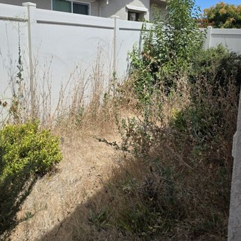 Hats Off Landscaping+ - Before - Landscaping Near Me - Stockton, California Hats Off Landscaping+ - Before - Landscaping Near Me - Stockton, California