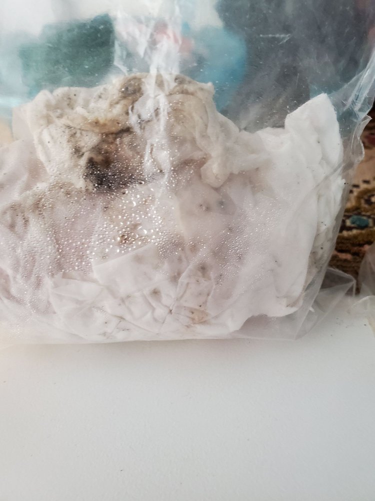 Slide of John's Plumbing & Pumps