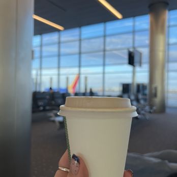 Novo Coffee - 6oz Cappuccino! - Coffee & Tea Near Me - Denver, Colorado Novo Coffee - 6oz Cappuccino! - Coffee & Tea Near Me - Denver, Colorado