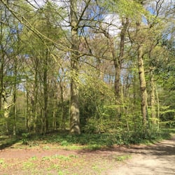 Haarlemmerhout - Lekker wandelen!