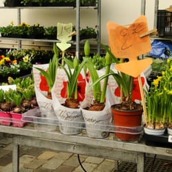 Marché des Quais