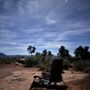 Zion Jeep Tours