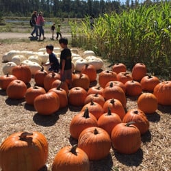 Madrac Farms - Big ones!