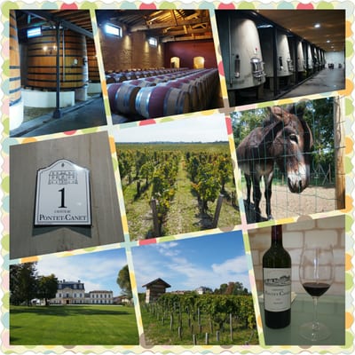 Château Pontet-Canet by null