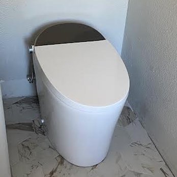 Ace Plumbing Pros - Smart toilet installation - Plumbing Near Me - Los Angeles, California