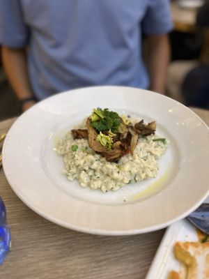 BRERA osteria by null