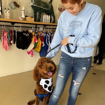 Allie & Paws - Pet Groomers Near Me - Downey, California
