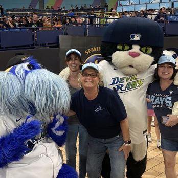 Tampa Bay Rays - Professional Sports Teams Near Me - St. Petersburg, Florida Tampa Bay Rays - Professional Sports Teams Near Me - St. Petersburg, Florida