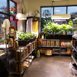 Summer Sun Garden & Brew - Indoor plant supplies