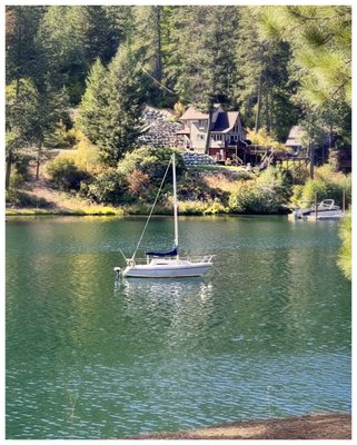 One Shot Charlies by null