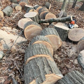 Martinez Tree Work - Tree Services Near Me - Glastonbury, Connecticut Martinez Tree Work - Tree Services Near Me - Glastonbury, Connecticut