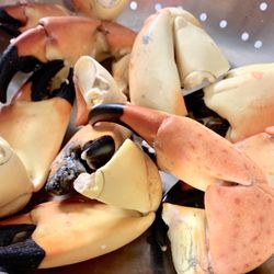 Miss Mary Seafood - Stone Crab Claws