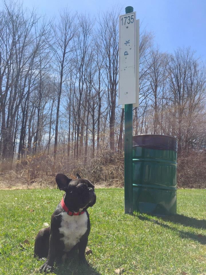 CULVER PARK Updated April 2024 1735 Culver Drive, London, Ontario Parks Yelp CULVER PARK Updated April 2024 1735 Culver Drive, London, Ontario Parks Yelp