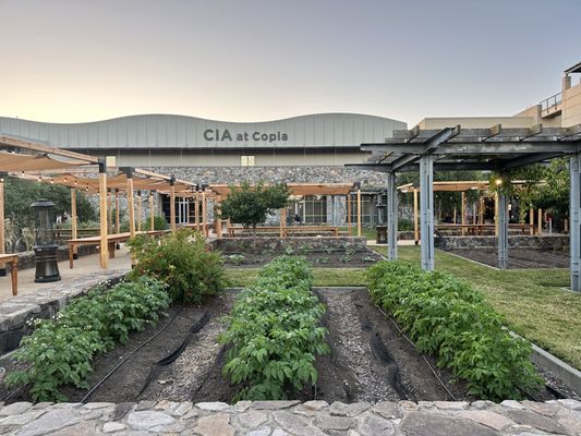 CIA at Copia (The Culinary Institute of America at Copia) by null