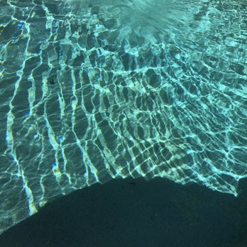 Trusted Pool Care - From green to beautiful blue! - Pool & Hot Tub Service Near Me Trusted Pool Care - From green to beautiful blue! - Pool & Hot Tub Service Near Me